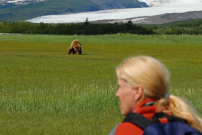 alaska-bear-viewing-day-trip-from-homer