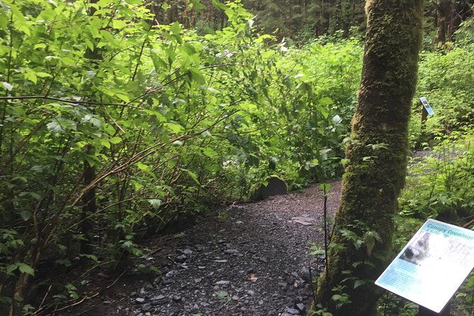 alaska-bigfoot-adventures