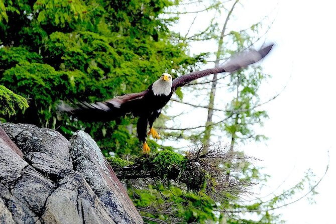 alaska-marine-fast-boat-adventure