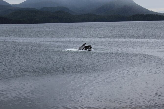 Alaska Native Cultural and Wildlife Adventure - Practical Tips for Travelers