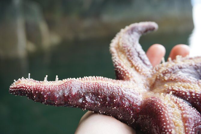 Alaska Ocean Wilderness Expedition - The Sum Up: Is This Tour Worth It?