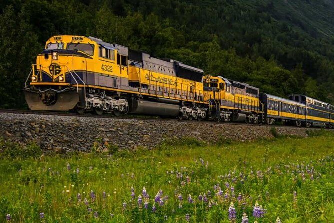 Alaska Railroad Anchorage to Seward One Way - The Sum Up