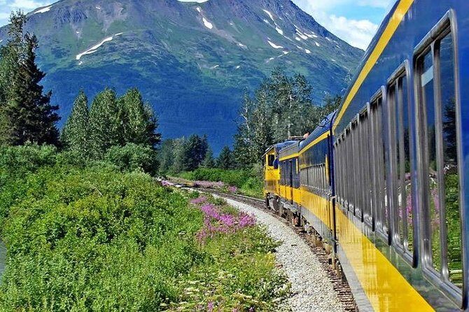 Alaska Railroad Anchorage to Seward Round-Trip Same Day Return - The Sum Up