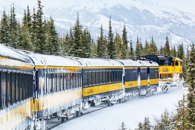 alaska-railroad-aurora-winter-fairbanks-to-anchorage-one-way-2