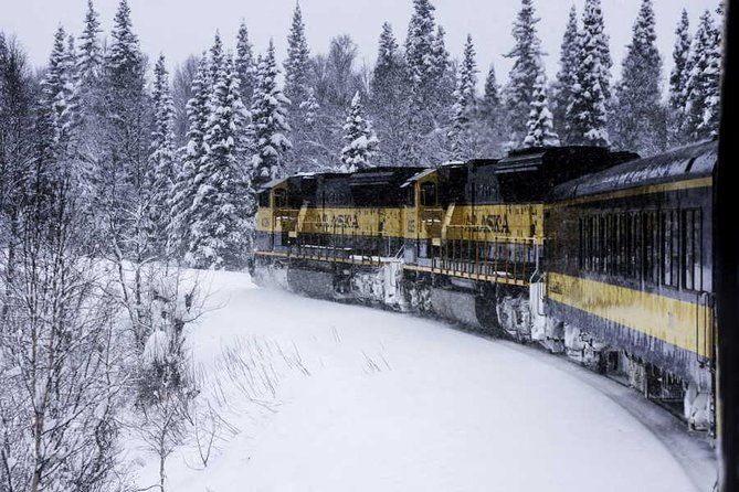 alaska-railroad-aurora-winter-fairbanks-to-anchorage-one-way-2