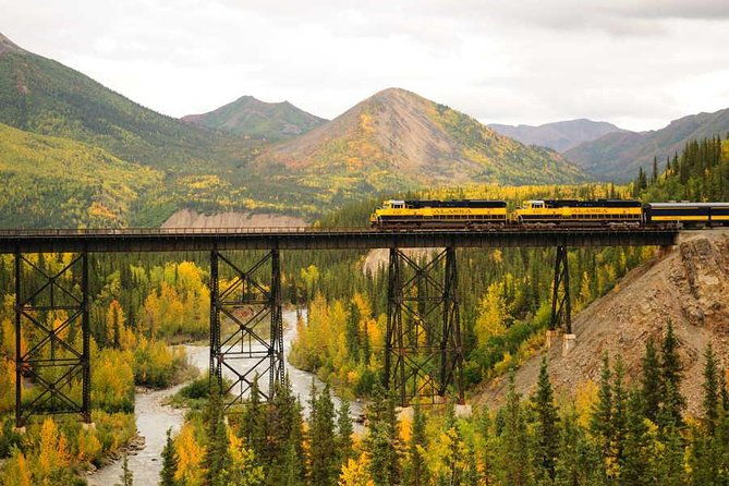 alaska-railroad-denali-to-anchorage-one-way-2