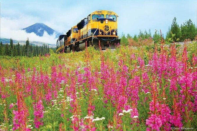 alaska-railroad-denali-to-fairbanks-one-way