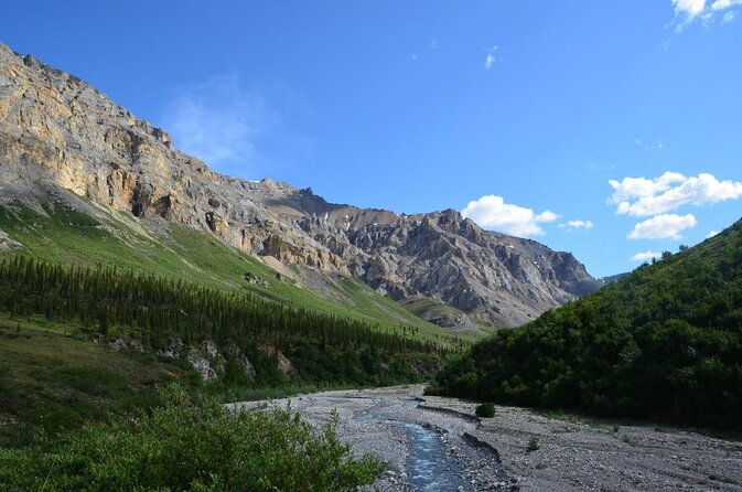 alaska-railroad-fairbanks-to-denali-one-way-2