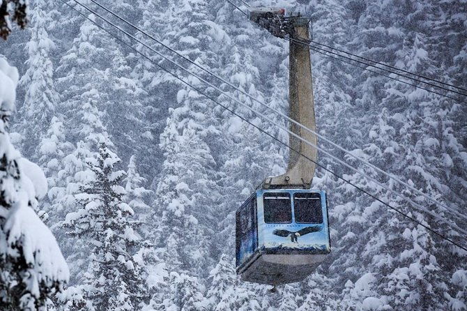 alaska-wildlife-center-and-turnagain-arm-tour-w-alyeska-tram