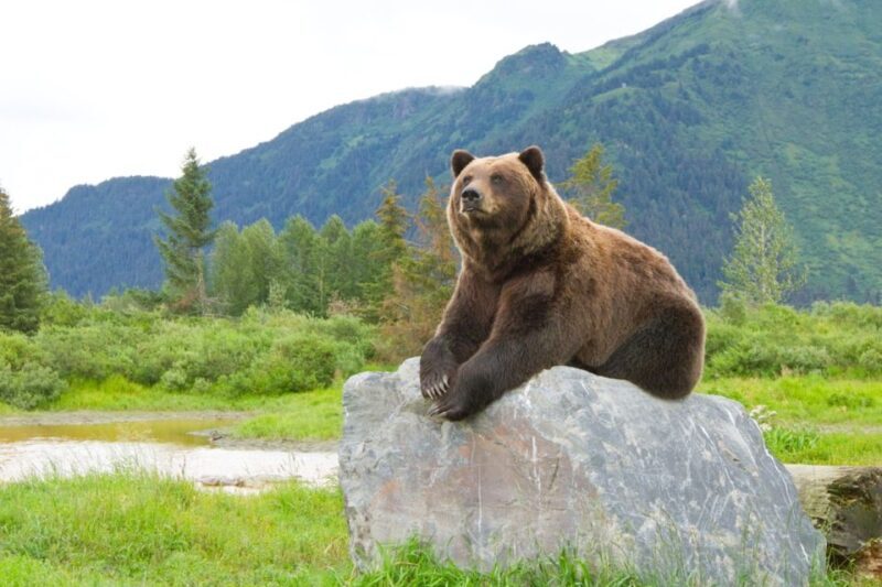 Alaska Wildlife Conservation Center: Admission Ticket - Accessibility and Comfort