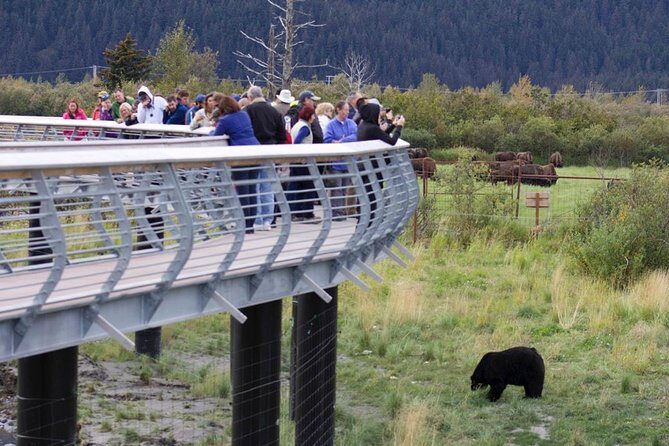 Alaska Wildlife Day Tour with Free Hotel Pickup - Authentic Experiences Highlighted in Reviews