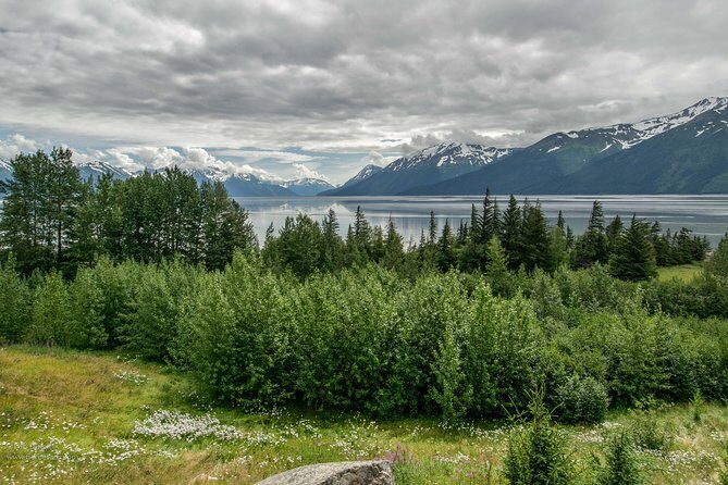 Alaska Wildlife Day Tour with Free Hotel Pickup - FAQs