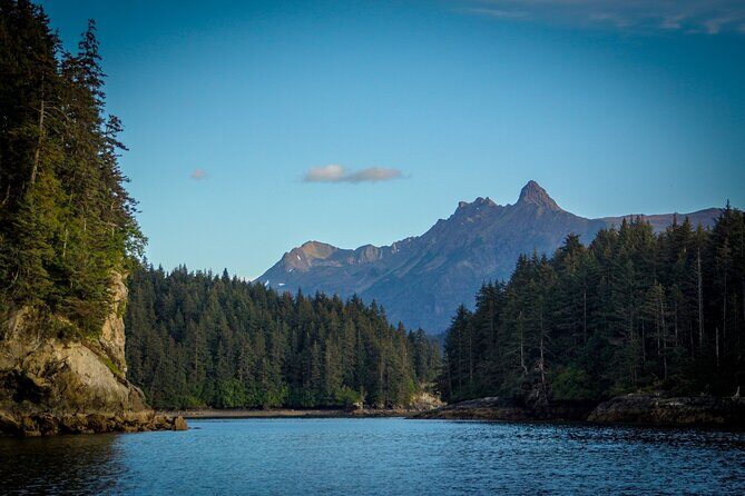 Alaska Wildlife Tour in Kachemak Bay - The Value Proposition