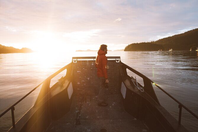 Alaska Wildlife Tour in Kachemak Bay - Who Will Love This Tour?