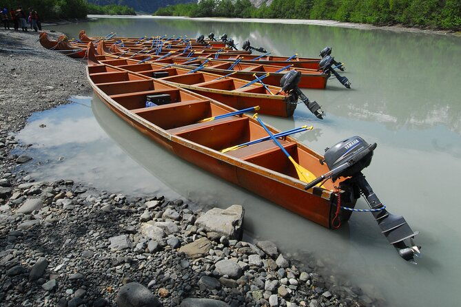 alaska-wildlife-voyageur-canoe-safari-from-haines