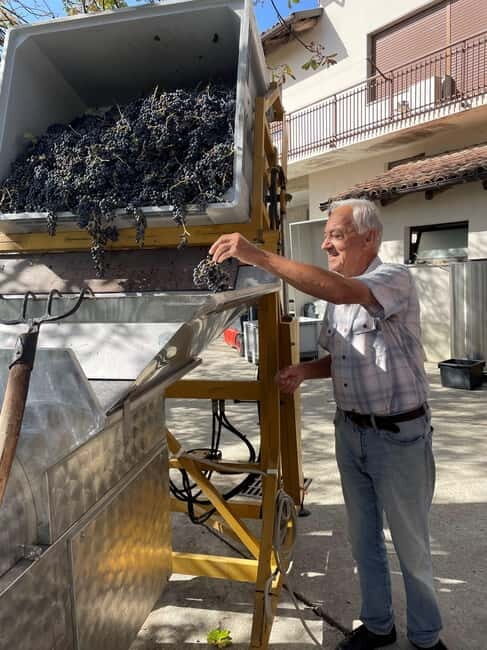 Alba: Barolo & Barbaresco Wine Tour - Final Thoughts