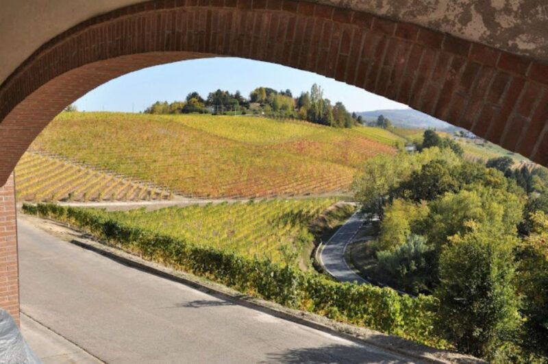 alba-e-bike-tour-with-wine-tastin-in-cellar