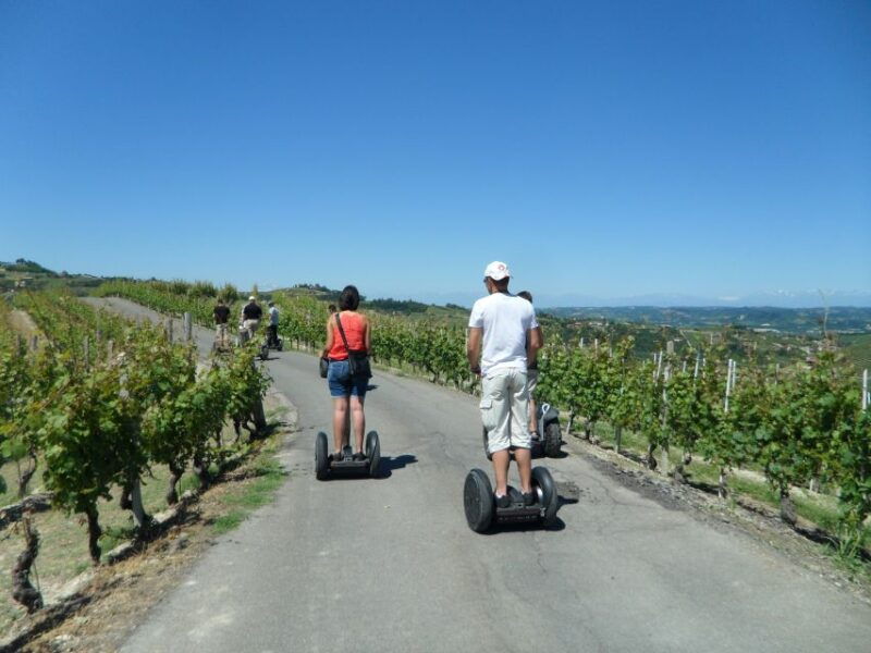 alba-guided-segway-tour-through-langhe-hills-and-vineyards