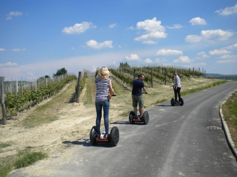 alba-guided-segway-tour-through-langhe-hills-and-vineyards