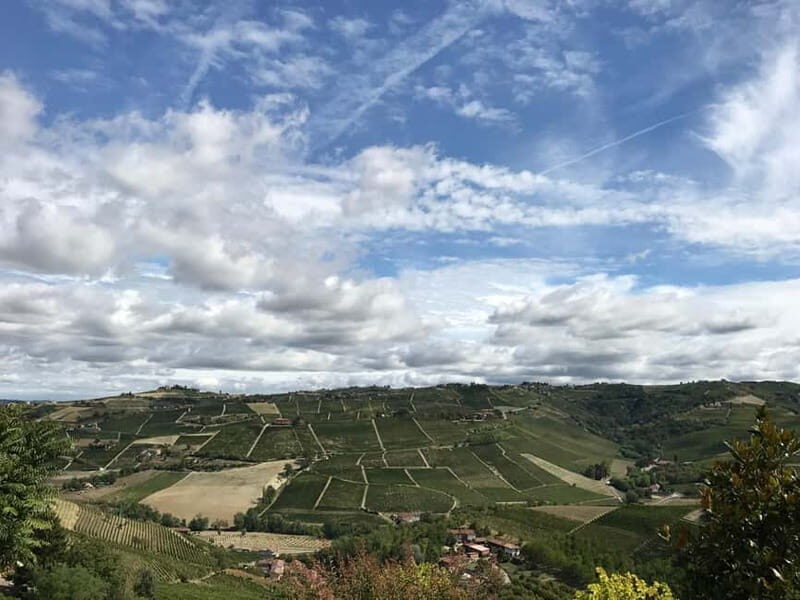 Alba: Wine Tasting and Tour with a Local Producer - What to Expect from the Alba Wine Tour