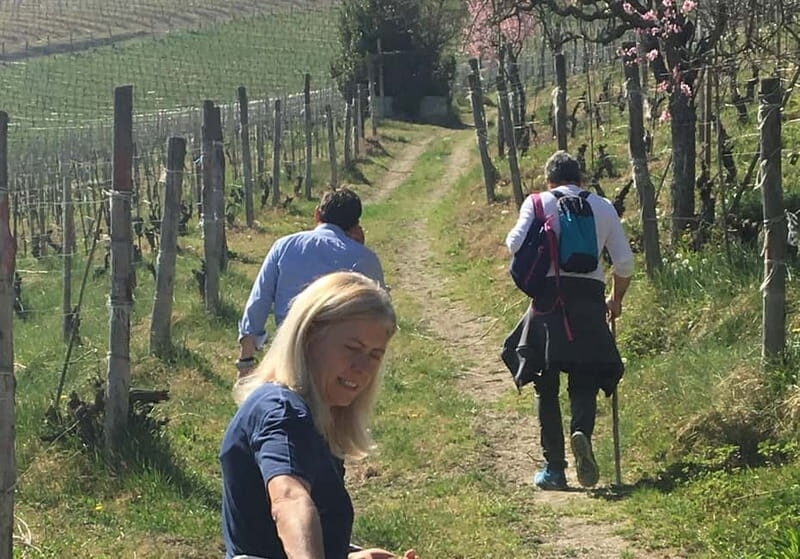 Alba: Wine Tasting and Tour with a Local Producer - Who Will Love This Experience?