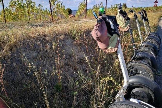 albahills-segway-tour