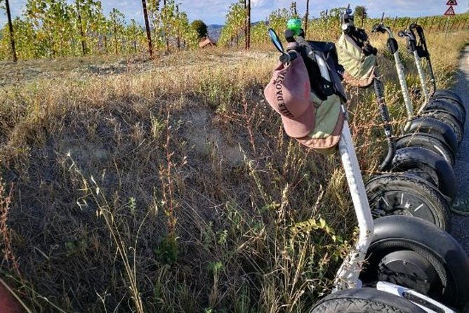 albahills-segway-tour-wine-tasting