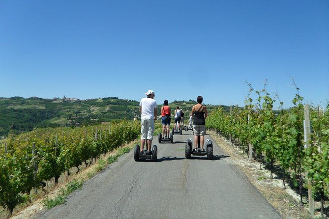 albahills-segway-tour-wine-tasting