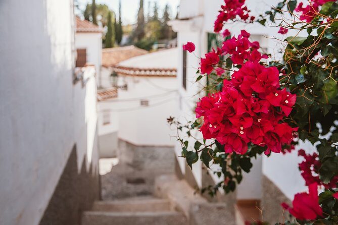 Albaicín & Sacromonte Walking Tour - Final Thoughts