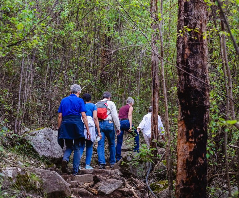 Albany: Guided Granite Skywalk in Porongurup National Park - The Experience You’ll Take Home