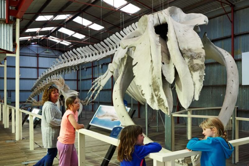 Albany: Historic Whaling Station Entry Ticket - Key Points