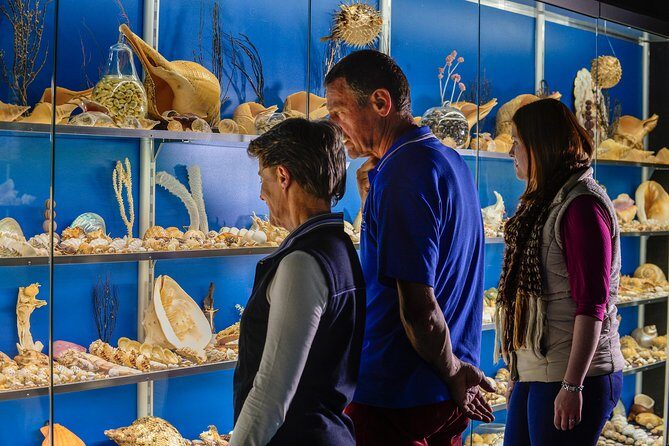 Albany's Historic Whaling Station Admission Ticket - An Honest Look at the Experience