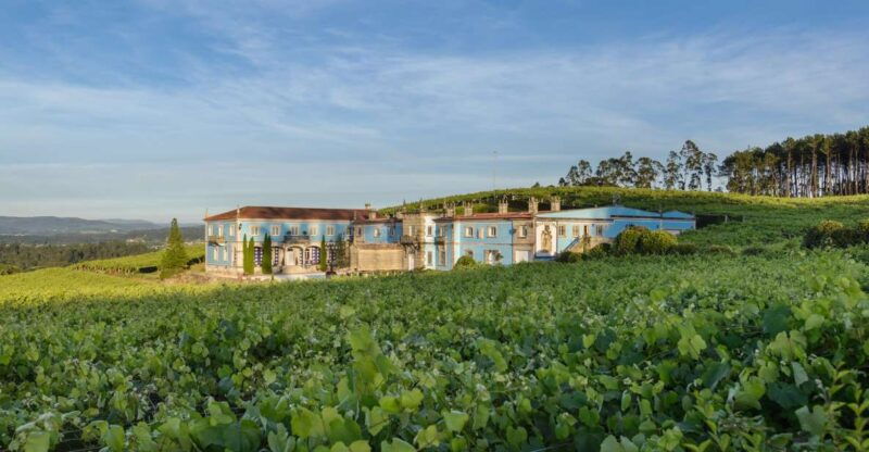 albarino-wine-tasting-with-winery-tour
