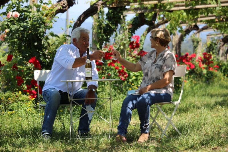 albarino-wine-tasting-with-winery-tour