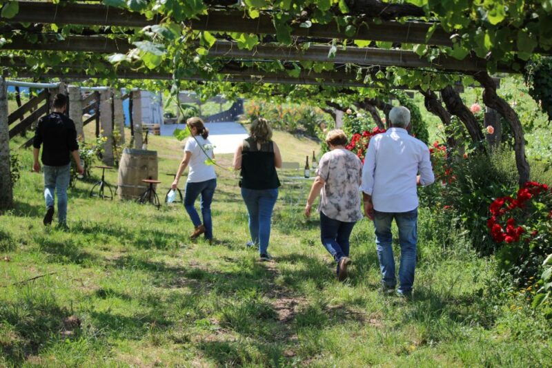 albarino-wine-tasting-with-winery-tour