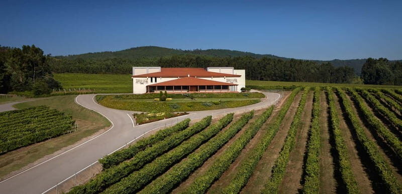 Albariño Wine Tour: Taste, Learn & Take Home a Special Gift - The Itinerary & Experience Breakdown