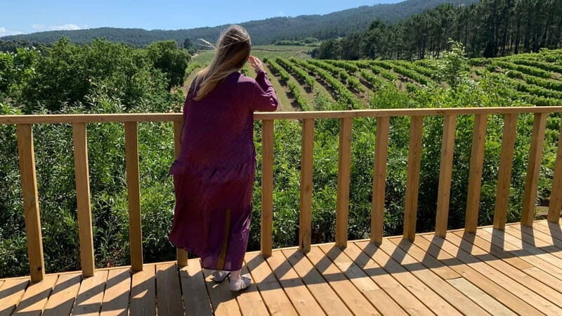 Albariño Wine Tour: Taste, Learn & Take Home a Special Gift - Analyzing the Value: Is It Worth It?