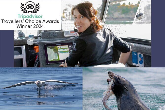 Albatross, seals, and sea birds-Wildlife Cruise - Key Points