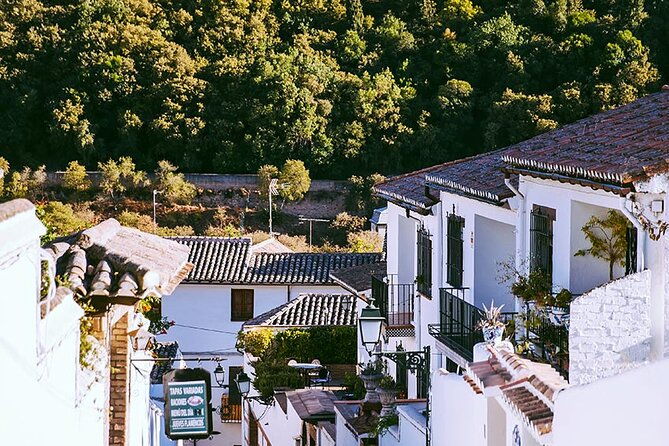 albayzin-and-sacromonte-guided-walking-tour-in-granada