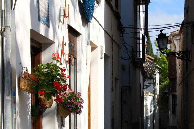 albayzin-and-sacromonte-guided-walking-tour-in-granada