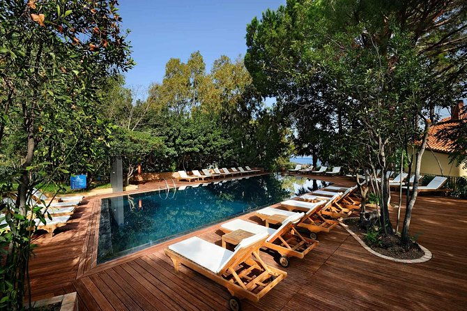 alberi-del-paradiso-cefalu-for-apt-palermo-or-vice-versa-private-transfer