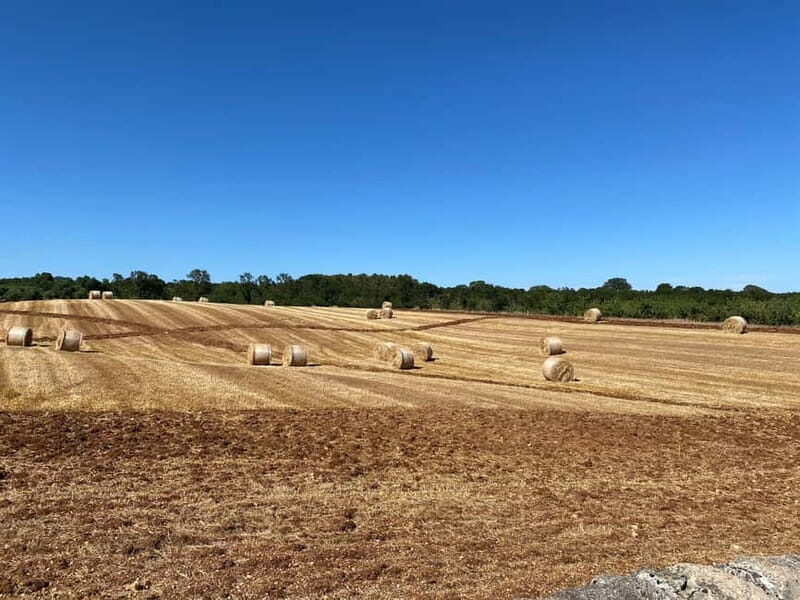 Alberobello: E-Bike Tour to Locorotondo with Ice Cream - Pricing and Value