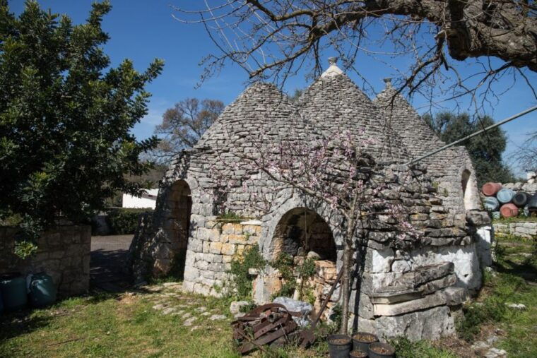 alberobello-e-bike-tour-trulli-mill-and-donkey-farm