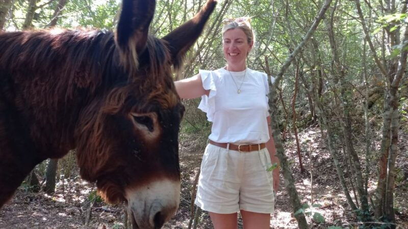 alberobello-e-bike-tour-with-visit-to-a-donkey-farm