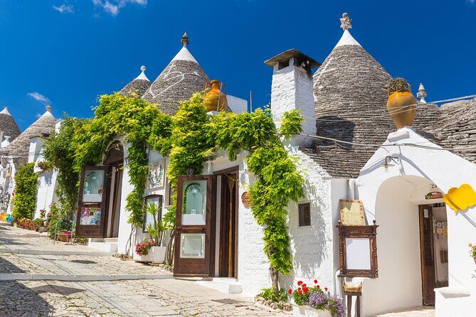 Alberobello, Monopoli Polignano Small-Group Guided Tour from Bari - The Guide: A Major Plus