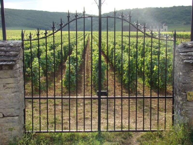 albi-cordes-sur-ciel-gaillac-day-trip-from-toulouse