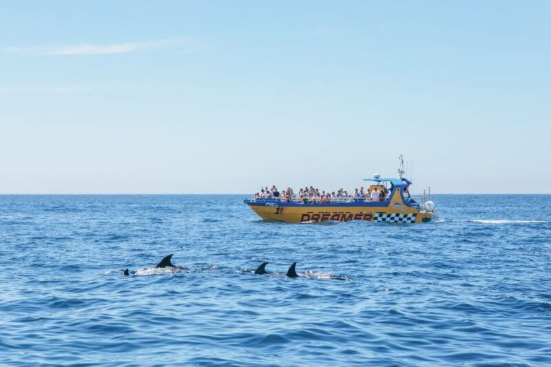albufeira-2-5-hour-benagil-caves-dolphin-watching