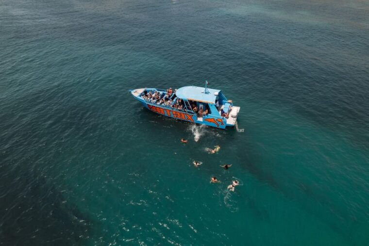 albufeira-2-5-hour-dolphin-watching-and-caves-trip