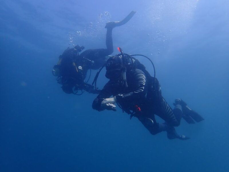 albufeira-2-dives-trip-only-certified-divers