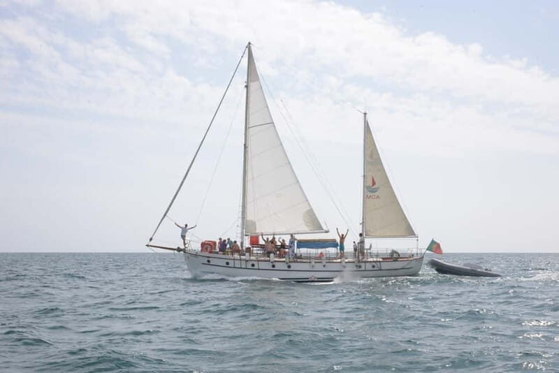 Albufeira: 6-Hour Boat Tour with BBQ and Drinks - Practical Tips for Making the Most of Your Trip